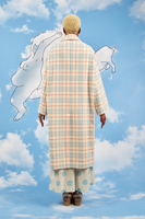 Pale blue and ivory plaid overcoat  image