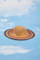 Striped Straw Sunhat with Shells image