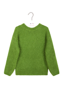 Grass green sweater  image