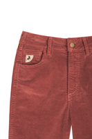 Pecan brown corduroy pants  image