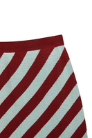 Acqua and burgundy diagonal striped knit skirt  image