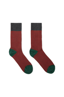 Red and bottle green striped socks image