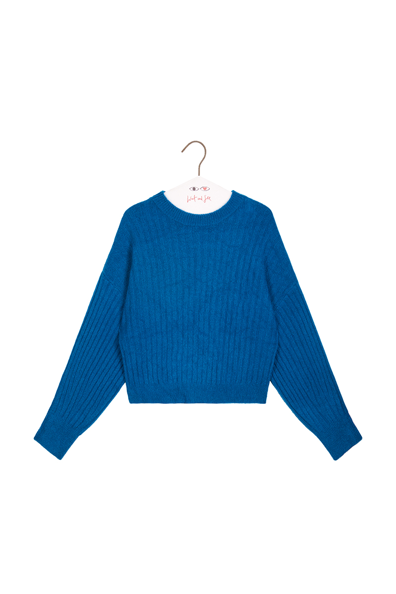 Shop Frnch Ocean Blue Sweater | Wait and See