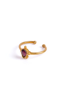 Anello tartaruga con pietra viola image