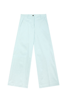Sky blue palazzo trousers image