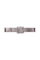 Cintura metallizzata argento image