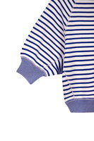 Royal blue and white striped sweater image