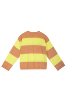 Lime and hazelnut striped sweater image