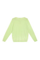 Lime green and white striped sweater image