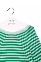 Acqua and emerald green stripe sweater image