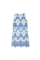 China blue embroidered sleeveless mini dress  image
