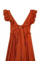 Cinnamon brown ruffled maxi dress  image