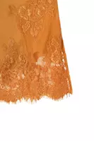 Sand silk slip dress with lace trim image