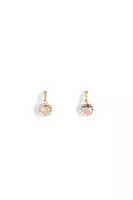 Small clear round drop earrings  image