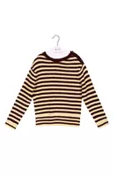 Lemon sorbet and aubergine striped sweater  image