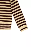 Lemon sorbet and aubergine striped sweater  image