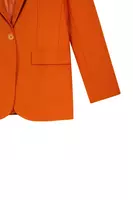 Pumpkin orange tailored blazer  image