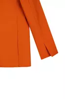 Pumpkin orange tailored blazer  image