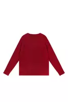 Pomegranate melange sweater  image