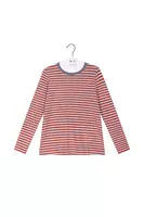 Baby blue and cinnamon striped t-shirt  image