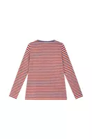 Baby blue and cinnamon striped t-shirt  image