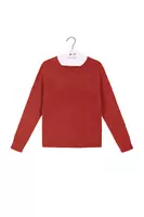 Brick fluffy sweater  image