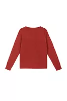 Maglione color mattone image