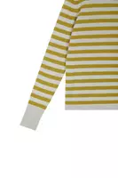 Dusty blue and sage green striped cashmere sweater  image