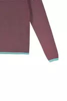 Maglione a righe fini color acqua e vino image