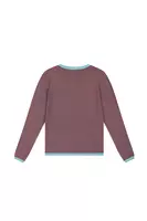 Maglione a righe fini color acqua e vino image