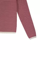 Dove grey and wine fine striped sweater  image