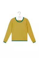 Sunny yellow and emerald green fine striped sweater  image