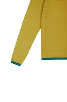 Maglione a righe fini giallo sole e verde smeraldo image