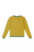 Sunny yellow and emerald green fine striped sweater  image