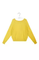 Lime raglan sleeve sweater  image