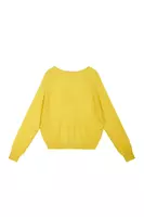 Lime raglan sleeve sweater  image