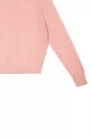 Dusty rose raglan sleeve sweater  image