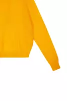 Tangerine raglan sleeve sweater  image