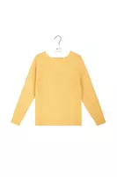 Maglione morbido giallo limone image