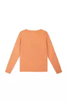 Apricot fluffy sweater  image