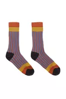 Dusty blue and cinnamon ribbed socks  image