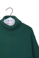 Fir green oversize turtleneck image