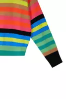 Rainbow stripe turtleneck  image