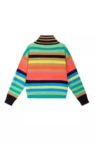 Rainbow stripe turtleneck  image