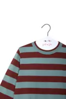 Brick and dusty aqua striped sweater  image