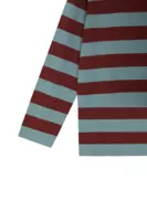 Brick and dusty aqua striped sweater  image