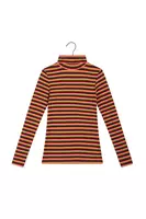 Berry and khaki stripe ribbed turtleneck  image