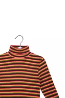 Berry and khaki stripe ribbed turtleneck  image