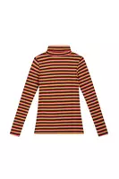 Berry and khaki stripe ribbed turtleneck  image