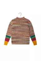 Faded autumnal stripe turtleneck image